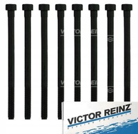 фото thumb №1, Болти головки 8 sztuk reinz do smart forfour 1.1