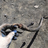 фото thumb №7, Шланг системи підсилювача koyo fabia