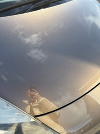 фото thumb №6, Renault scenic iii капот крышка двигателя tecnb