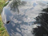 фото thumb №9, Mercedes w221 s-klasa капот крышка двигателя #59