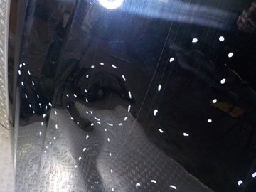 фото thumb №7, Audi a4 b9 8w рестайлінг 20- капот кришка двигуна