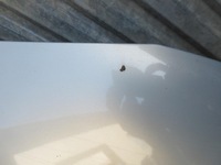 фото thumb №9, Renault scenic ii капот mv632