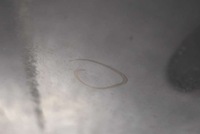 фото thumb №6, Капот крышка двигателя серая subaru legacy 4 iv 08-13