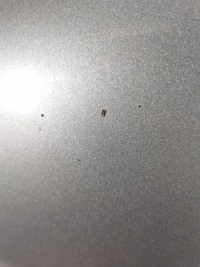 фото thumb №5, Mercedes c-klasa w204 капот крышка крышка багажника перед шумоизоляция c792