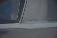 фото thumb №8, Бампер задний задняя fiat grande punto