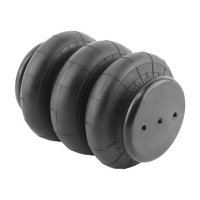 фото thumb №12, 2x сумка na підвіска пневматичний з potrójnym чохол 2600lbs