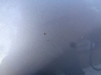 фото thumb №9, Капот крышка двигателя renault megane 3 iii ted69