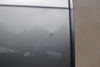 фото thumb №5, Дверь правое задняя ly7g audi a4 b7 avant