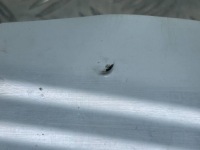 фото thumb №11, Стекло передняя / лобовое bmw 5 f10 f11 pilkington