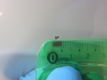 фото thumb №12, Bmw x3 f25 x4 f26 a96 mineral белый белый крыло правый переднее перед жемчуг