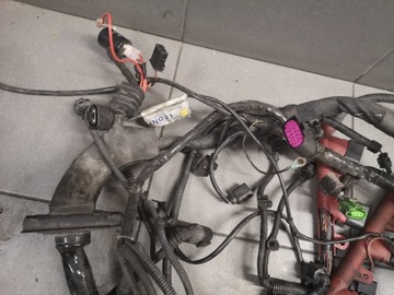 фото thumb №10, Жгут двигателя audi a6 c6 3.2 fsi uk 4f2971072fj