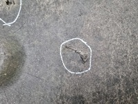 фото thumb №8, Захист підвіска права 7059390 bmw 1 e87 e81 e82