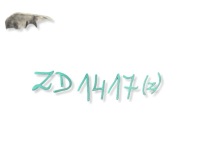 фото thumb №12, Спойлер бампера перед mercedes eqe w294 amg 22- a2948855901