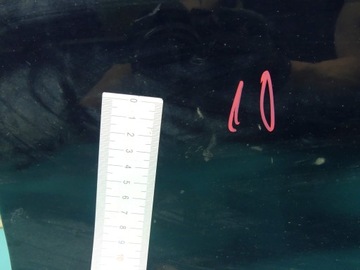 фото thumb №12, Двері перед ліві mazda 2 i dy 03-07 чорний a5d