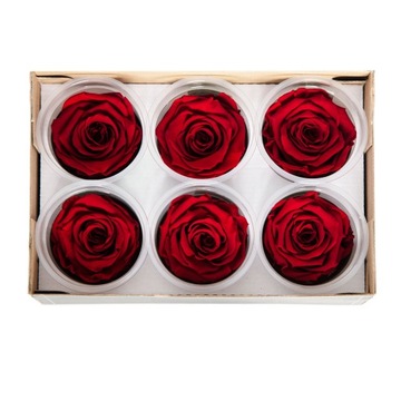 bordowe WIECZNE RÓŻE główki XL Rose Amor KOLORY