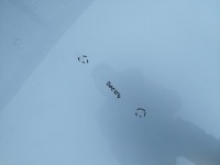 фото thumb №5, Капот audi a4 b7 2004-2008 cabriolet