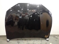 фото thumb №1, Капот ford mustang mach e 2020-