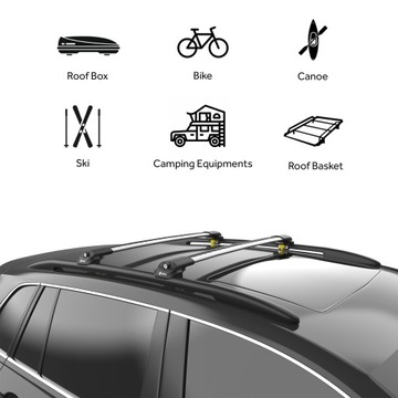 БАГАЖНИК НА ВЕРХУ ЧЕРЕПАХА AIR-1 для CITROEN C4 GRAND PICASSO Silver