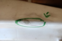 фото thumb №11, Бачок омивача bmw x5 x6 7190998