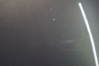 фото thumb №14, Капот кришка двигуна renault scenic iii tecnb