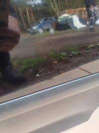 фото thumb №5, Двері ліва задня vw golf 5 plus колір lc9z