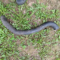 фото thumb №2, Honda accord 2.2 cdti шланг труба wąż wody