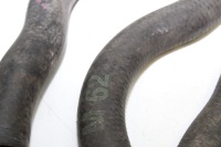 Bmw e38 рестайлінг  740i 735i m62 v8 патрубок води радіатора верхній лівий oryg Недорого, фото thumb