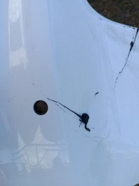 фото thumb №7, Audi a4 b9 універсал s-line бампер задній  задній 8w9807511s