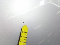 фото thumb №9, Tata safari i капот кришка передня