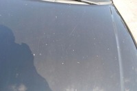 фото thumb №6, Audi a3 8l 96- капот крышка двигателя ly9b