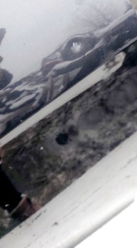 фото thumb №3, Двері перед передні праві seat altea toledo iii