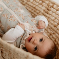 Спальный мешок NewBorn Vintage Animals Sky Blue — Sleepee + бесплатная бирка