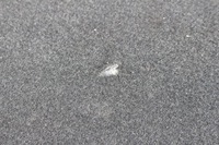 фото thumb №11, Vw passat b8 универсал боковина + ковёр багажника обшивки багажник обивка 3g986