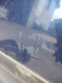 фото thumb №6, Дверь правый задняя skoda octavia ii kombi