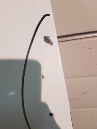 фото thumb №4, Ford transit connect mk2 дверь левая задние