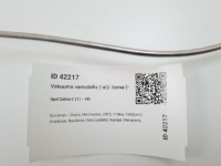 фото thumb №5, 2013 opel zafira c шланг / wąż вакууму
