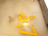 фото thumb №5, Захист стійка ліва renault laguna iii