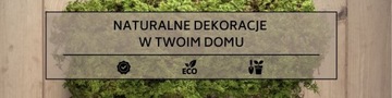 Картина мхом Замок на холме 60х40