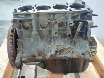 Блок двигателя Fiat Panda III 1.2 8V 55221621 2011-