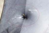 фото thumb №8, Renault kangoo express mk2 x61 бампер задний 8200436722g 8200436722 2019