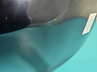 фото thumb №12, Бампер задняя mazda 2 чёрный a5d hb