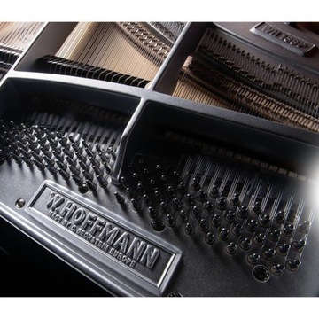W. Hoffmann P 188 - фортепиано 188 см, хром