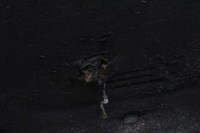 фото thumb №15, Капот крышка двигателя белый opel vectra c 02-08