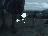 фото thumb №7, Капот крышка двигателя audi a6 c5 lift 2