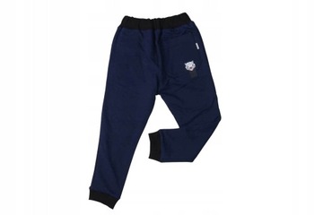 104 GAMET COTTON спортивные штаны темно-синие