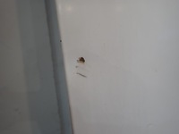 фото thumb №5, Двері праве зсувні hyundai h350 2015-