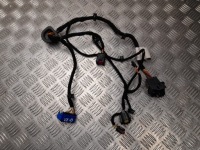 Купити Кабелі салону alfa romeo giulia 2017 двері 00505459730, фото thumb