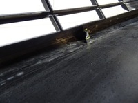 фото thumb №13, Спойлер бампера передній volvo ex30 ex-30 2023- 31345658 llu