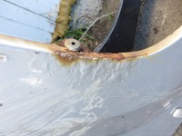 фото thumb №2, Крыло правый перед передний jeep rand cherokee wk r