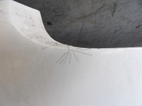 фото thumb №5, Vw t4 капот